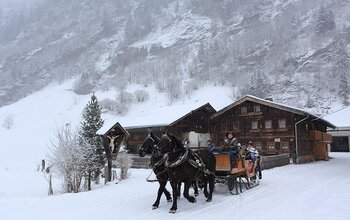 Pferdekutschenfahrt im Schnee