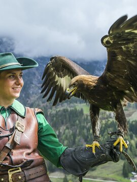 Greifvogelschau auf der Erlebnisburg Hohenwerfen