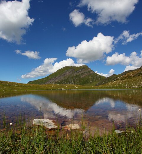 Bergsee umgeben von grünen Wiesen im Nationalpark Hohe Tauern