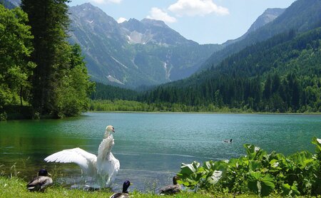 Am Jägersee