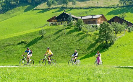Geführte E-Bike-Tour
