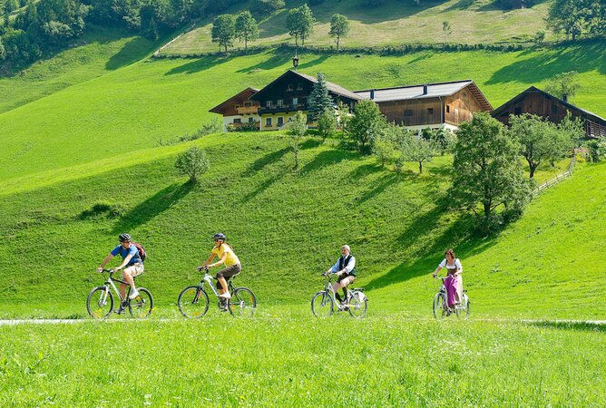 E-Bike Tour durch saftig grünen Almwiesen