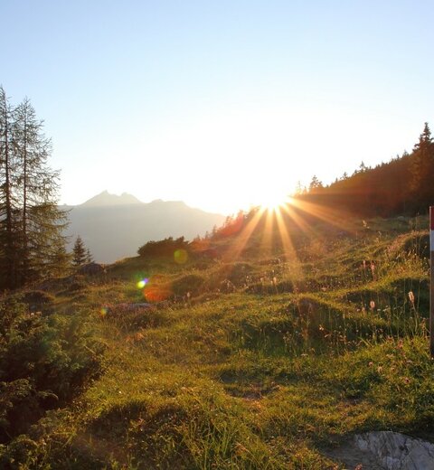 Wunderschöner Sonnenuntergang am Berg