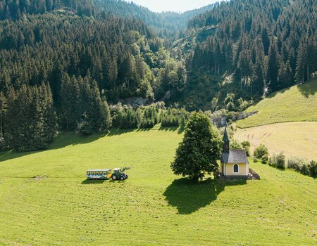 Almexpress-Traktor TUFFI auf der Alm