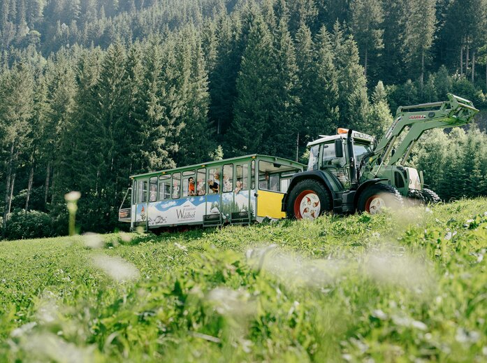 Tuffi Traktor fährt auf der Alm
