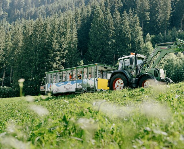 Almexpress-Traktor Tuffi in Großarl