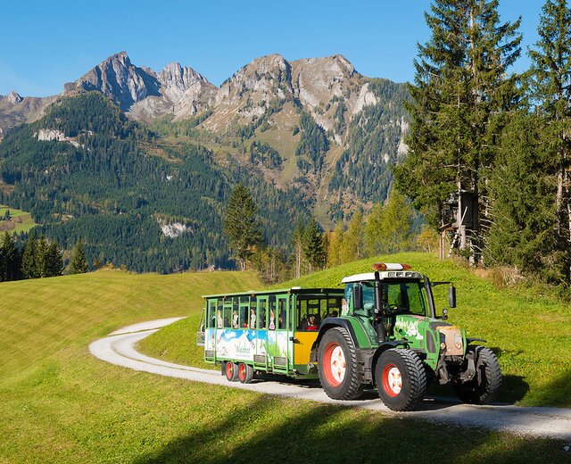 Almexpress-Traktor Tuffi in Großarl