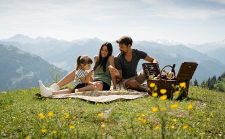 Picknickjause in der Wiese