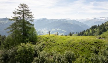Familie beim Wandern