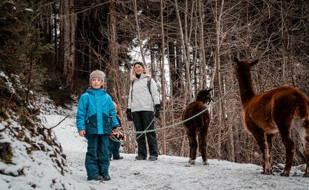 Kinder bei Alpakawanderung