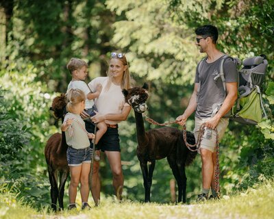 Familie bei der Alpakawanderung