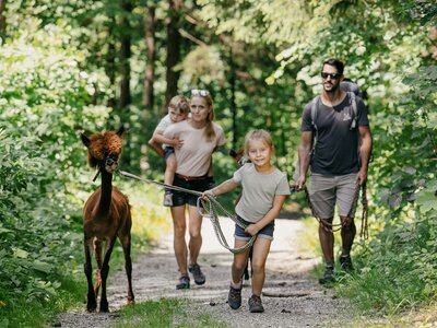 Familie bei der Alpakawanderung