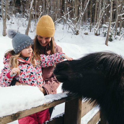 Kinder streichelt Pony