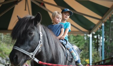 Kinder auf dem Pferd