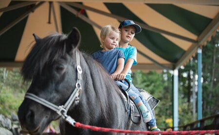 Kinder reiten auf Pony