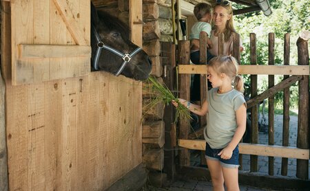 Kind beim Ponyfüttern