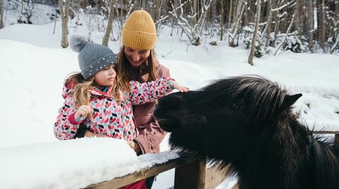 Mama mit Tochter streicheln ein Pferd