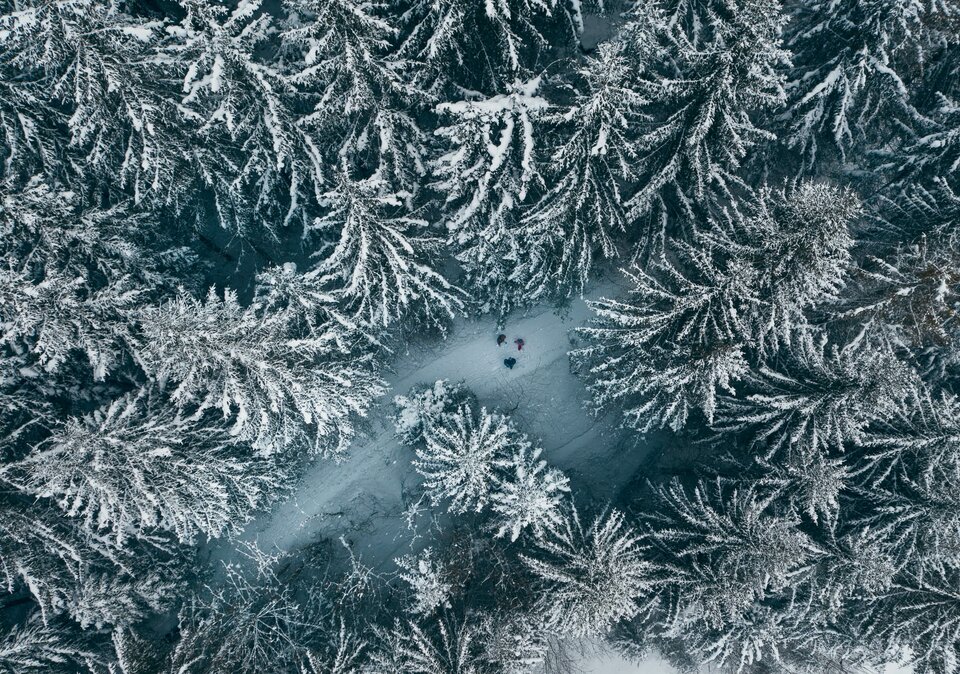 Drohnenansicht verschneiter Wald