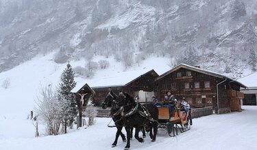 Pferdekutschenfahrt im Schnee