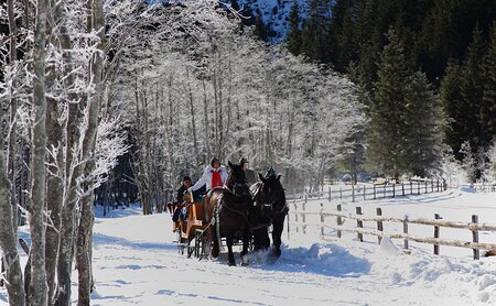 Pferdekutschenfahrt im Winter