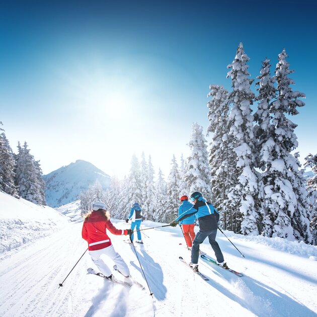 Familie bei der Skiabfahrt