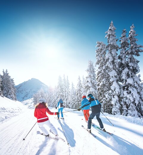 Skifahrergruppe in Ski amadé