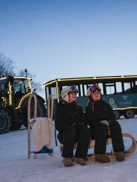 Traktor mit Anhänger bringt Gäste zum Rodeln