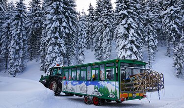 Rodeltransport TUFFI