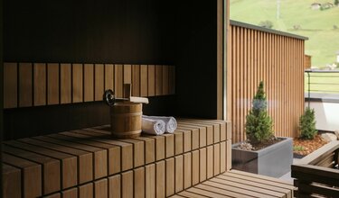 Private Sauna 